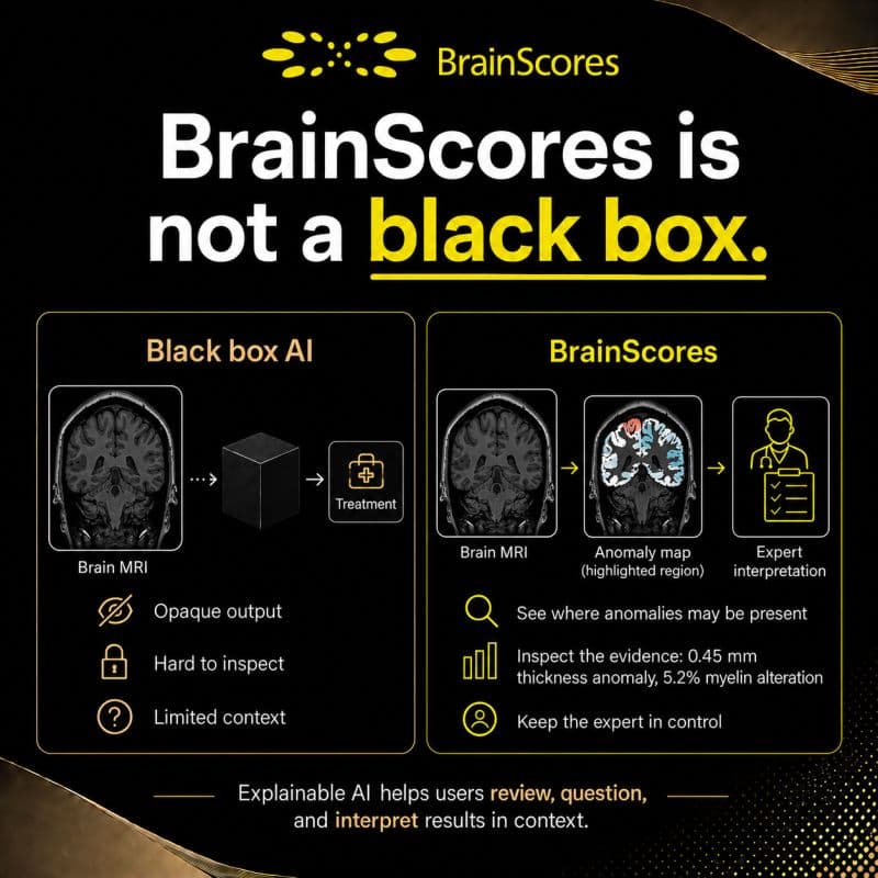 Why Explainability Is Central to the BrainScores Platform